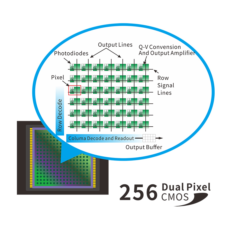 1641520761664393.jpg 12.jpg